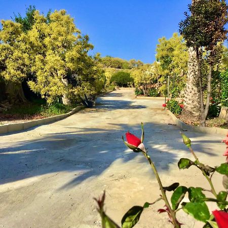 Los Ninos Villa/Country House Frigiliana Dış mekan fotoğraf